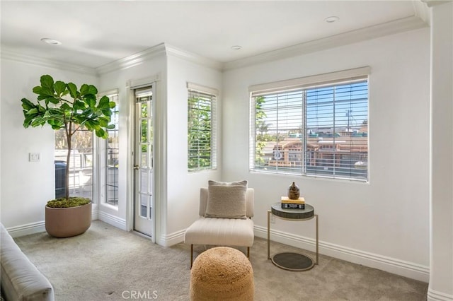 245 Palmer St, Costa Mesa, CA 92627 - living area featuring carpet floors, ornamental molding, and baseboards