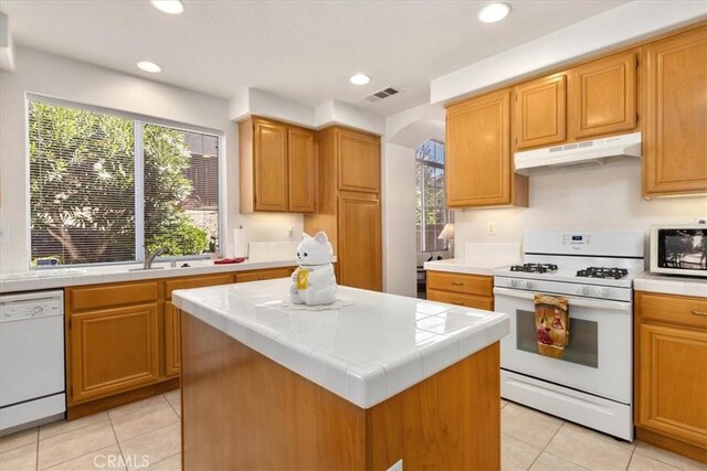 35419 El Diamante Dr, Wildomar, CA 92595 - photo 9