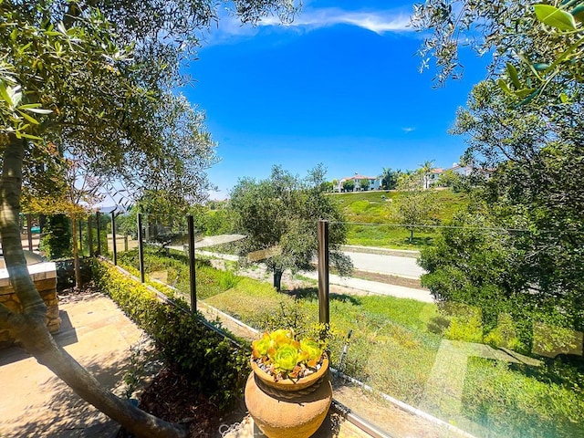 53 Via Armilla, San Clemente, CA 92673 - view of yard