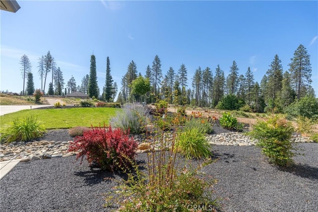 1622 Paradisewood Dr, Paradise, CA 95969 - view of green lawn