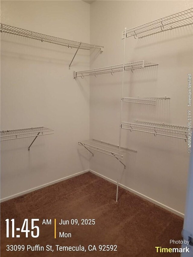 33099 Puffin St, Temecula, CA 92592 - walk in closet featuring carpet floors
