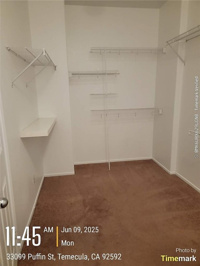 33099 Puffin St, Temecula, CA 92592 - spacious closet featuring carpet flooring