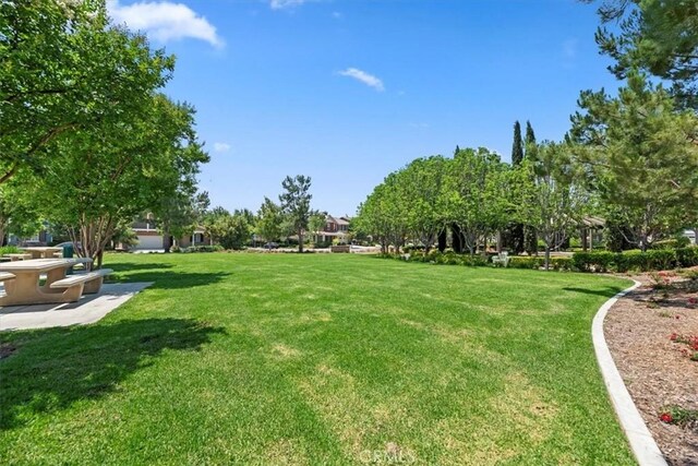 6169 Winona St, Chino, CA 91710 - photo 68