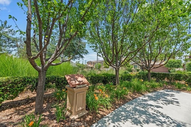 6169 Winona St, Chino, CA 91710 - photo 72
