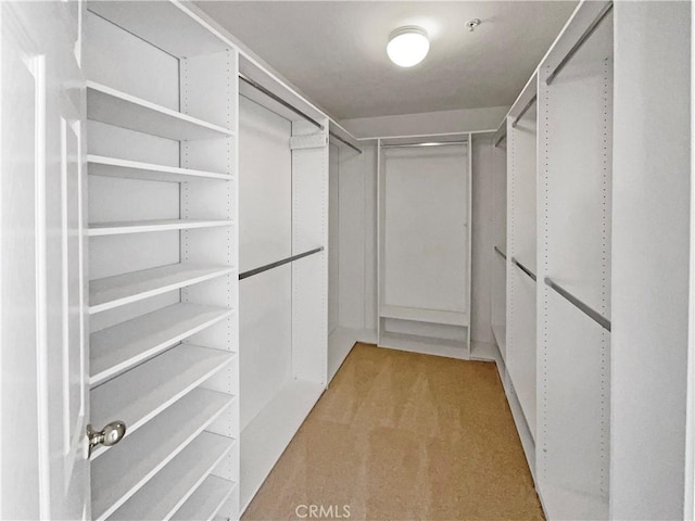 7411 Bull Run Pl, Fontana, CA 92336 - spacious closet with light carpet