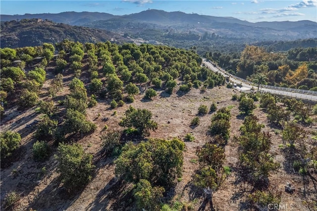 23192 De Anza Rd, Temecula, CA 92590 - photo 60