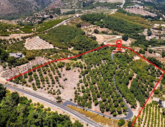23192 De Anza Rd, Temecula, CA 92590 - photo 75