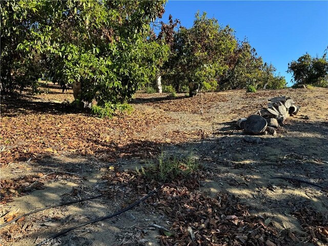 23192 De Anza Rd, Temecula, CA 92590 - photo 51