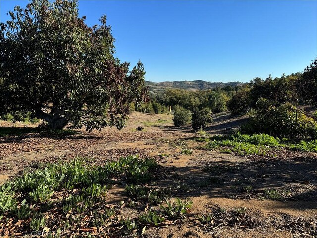 23192 De Anza Rd, Temecula, CA 92590 - photo 53