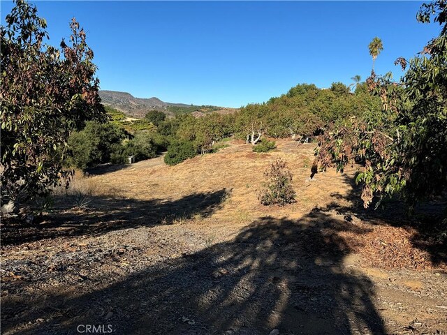 23192 De Anza Rd, Temecula, CA 92590 - photo 52