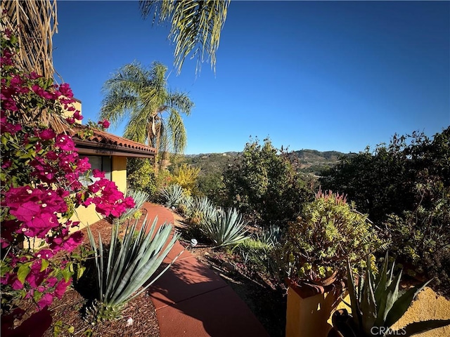 23192 De Anza Rd, Temecula, CA 92590 - photo 43