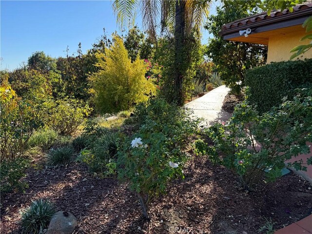 23192 De Anza Rd, Temecula, CA 92590 - photo 47