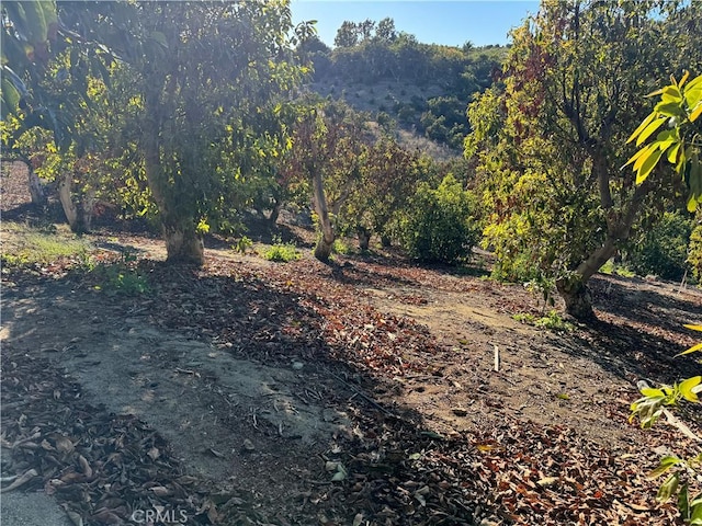 23192 De Anza Rd, Temecula, CA 92590 - photo 50
