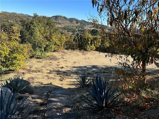 23192 De Anza Rd, Temecula, CA 92590 - photo 48