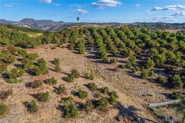 23192 De Anza Rd, Temecula, CA 92590 - photo 59