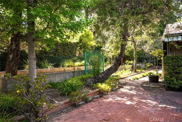 85 S San Rafael Ave, Pasadena, CA 91105 - view of patio
