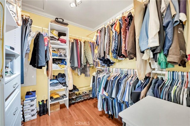 2655 Treelane Ave, Arcadia, CA 91006 - photo 24