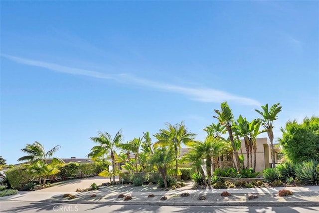 32661 Caribbean Dr, Dana Point, CA 92629 - view of street
