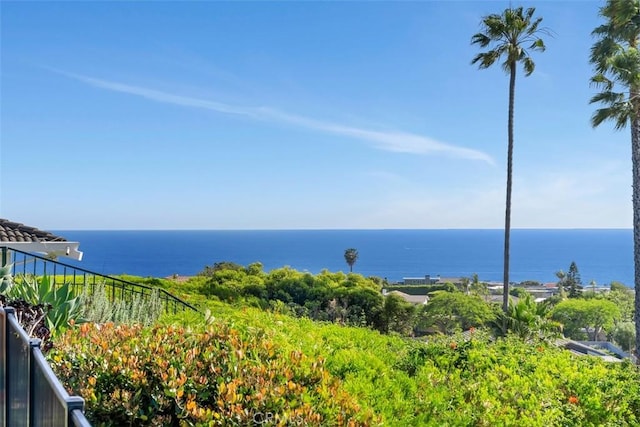 32661 Caribbean Dr, Dana Point, CA 92629 - water view