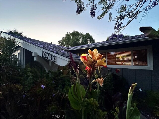 16733 Archwood St, Van Nuys, CA 91406 - view of property exterior