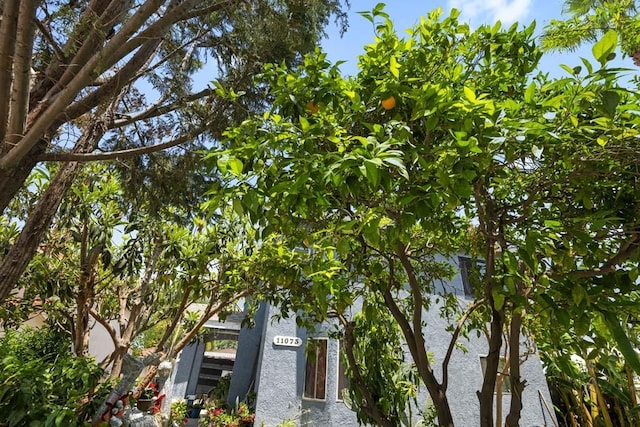 11073 Andrews St, South El Monte, CA 91733 - view of home's exterior featuring stucco siding