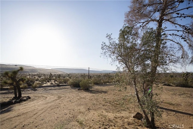 3977 Sage Ave, Yucca Valley, CA 92284 - view of yard with a rural view