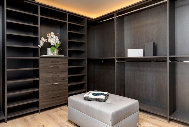 2522 The Strand, Manhattan Beach, CA 90266 - spacious closet featuring light wood-style floors