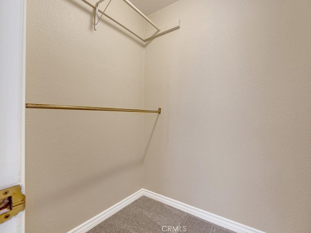 16879 Bluewater Ln Unit 25, Huntington Beach, CA 92649 - walk in closet featuring carpet floors