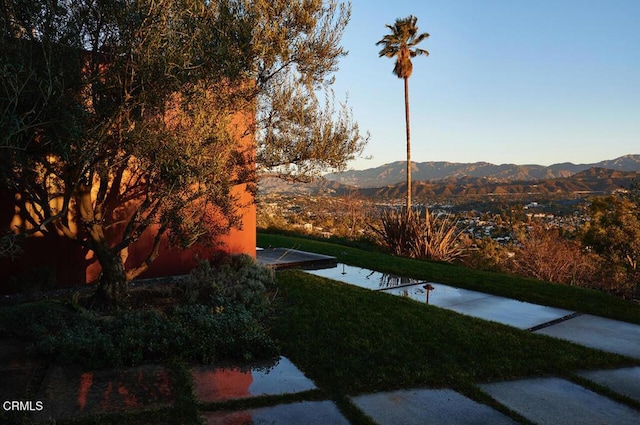 732 Crane Blvd, Los Angeles, CA 90065 - photo 43