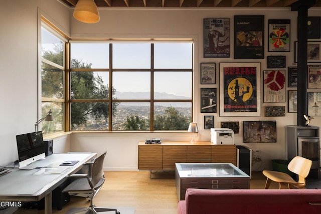 732 Crane Blvd, Los Angeles, CA 90065 - photo 27