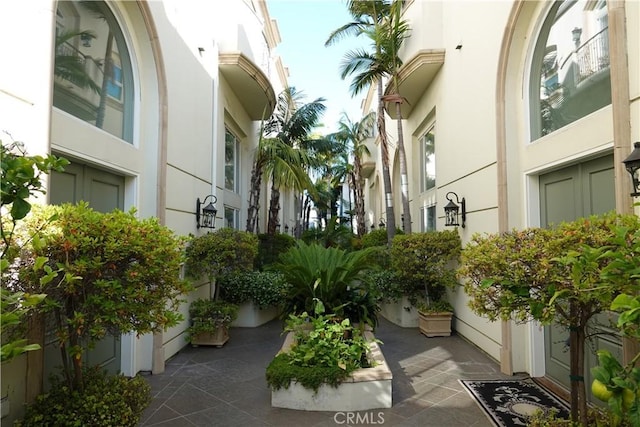 11974 Mayfield Ave Unit 1, Los Angeles, CA 90049 - photo 3