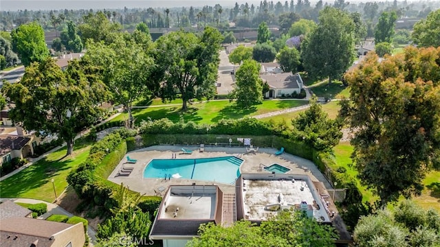 837 Ardmore Cir, Redlands, CA 92374 - drone / aerial view of a pool and a tree filled landscape
