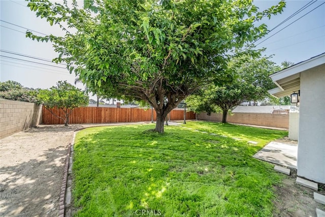 725 San Anselmo Ave, San Bernardino, CA 92410 - photo 21