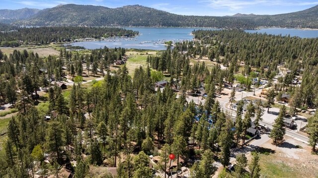 39989 Hillcrest Dr, Big Bear Lake, CA 92315 - photo 2