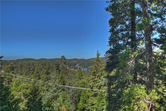 28545 Wabash Dr, Lake Arrowhead, CA 92352 - view of mountain background featuring a forest