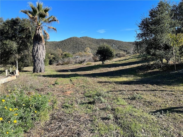 1437 Gopher Canyon Rd, Vista, CA 92084