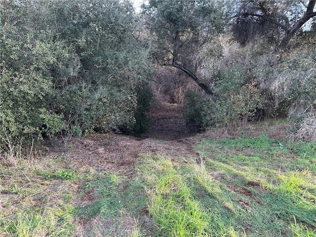 1437 Gopher Canyon Rd, Vista, CA 92084