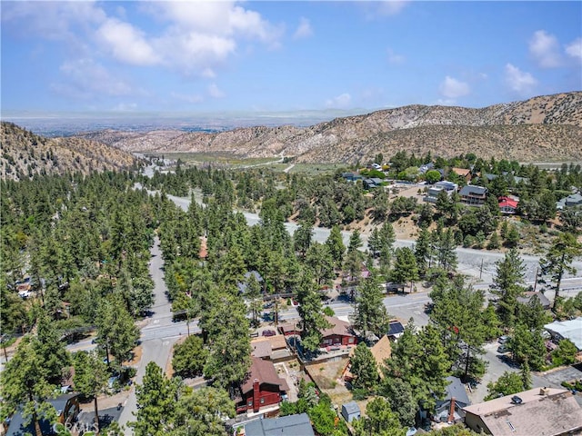 5440 Lone Pine Canyon Rd, Wrightwood, CA 92397 - photo 6