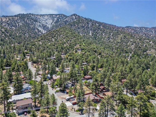 5440 Lone Pine Canyon Rd, Wrightwood, CA 92397 - photo 33