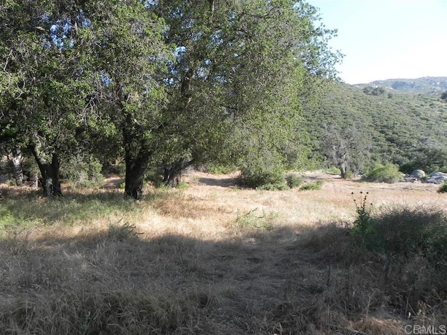 9363 Via Arturo, Descanso, CA 91916