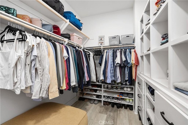 45437 Calle Cirros, Temecula, CA 92592 - spacious closet with wood finished floors