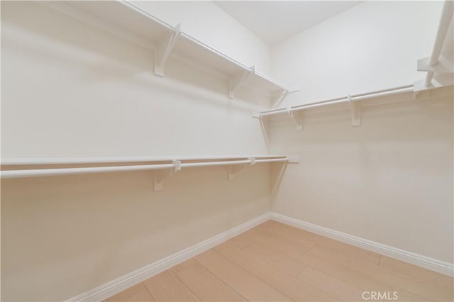6611 Eucalyptus Ave, Chino, CA 91710 - walk in closet with light wood-style flooring