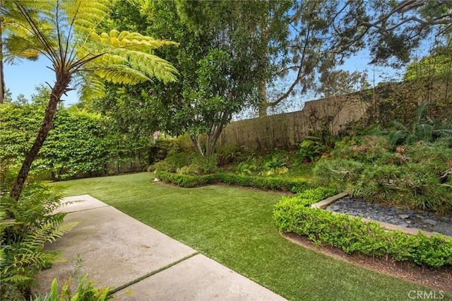 6 Rue Marseilles, Newport Beach, CA 92660 - view of yard