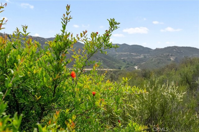 0 Hombre, Murrieta, CA 92562 - photo 16
