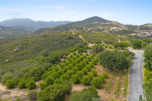 0 Hombre, Murrieta, CA 92562 - photo 17