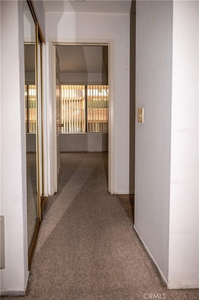 6188 Agee St Unit 230, San Diego, CA 92122 - corridor with carpet flooring and baseboards
