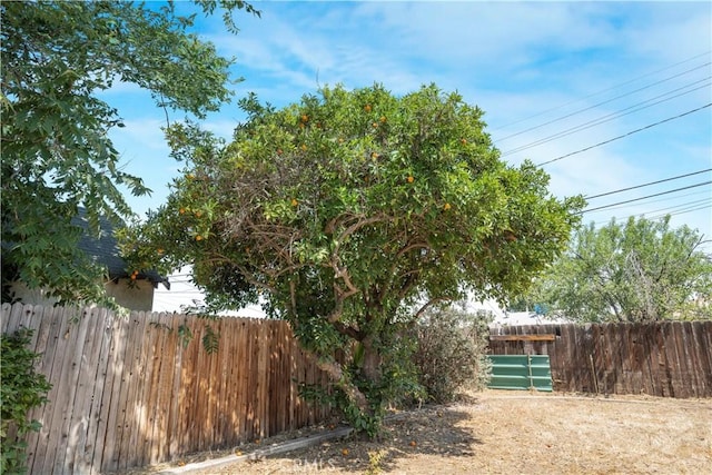 1212 Woodrow Ave, Bakersfield, CA 93308 - view of yard