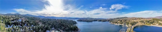 485 State Highway 173, Lake Arrowhead, CA 92352 - water view with a heavily wooded area and a mountainous background