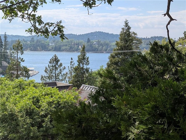 485 State Highway 173, Lake Arrowhead, CA 92352 - water view featuring a forest