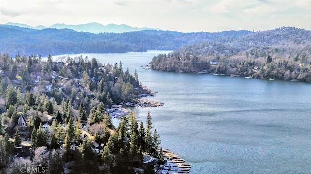 485 State Highway 173, Lake Arrowhead, CA 92352 - water view with a mountain backdrop and a heavily wooded area
